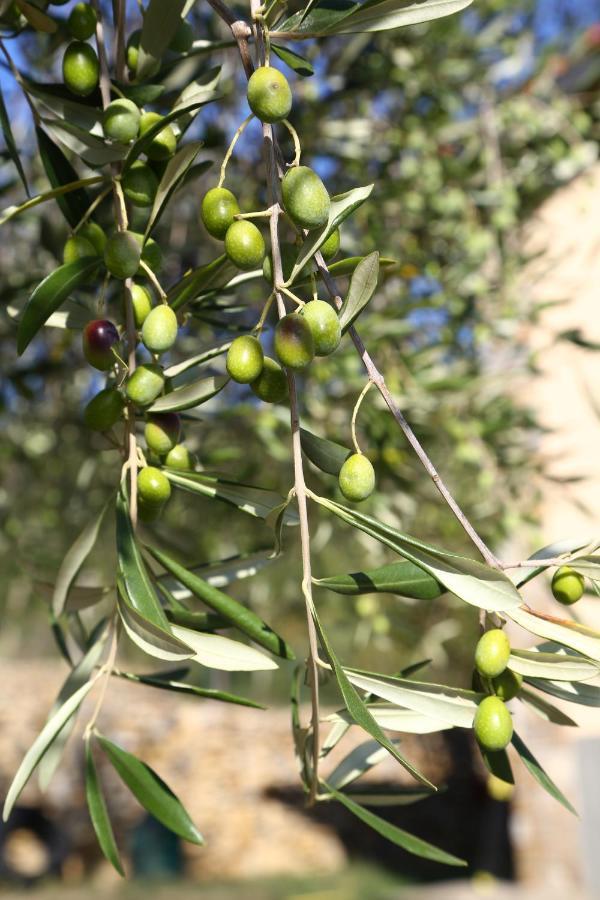 הוילה Pontedassio Casa Mari מראה חיצוני תמונה